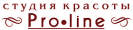 Логотип компании Про Лайн