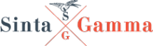 Логотип компании Sinta Gamma