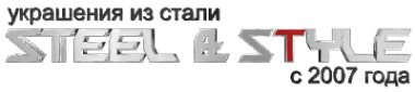Логотип компании STEEL & STYLE