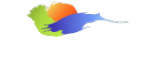 Логотип компании ССКА