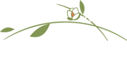 Логотип компании Сочи-Магнолия