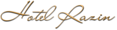 Логотип компании Разин