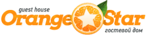 Логотип компании Orange Star