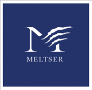 Логотип компании Meltser