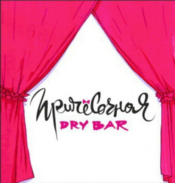Логотип компании Причесочная Dry Bar