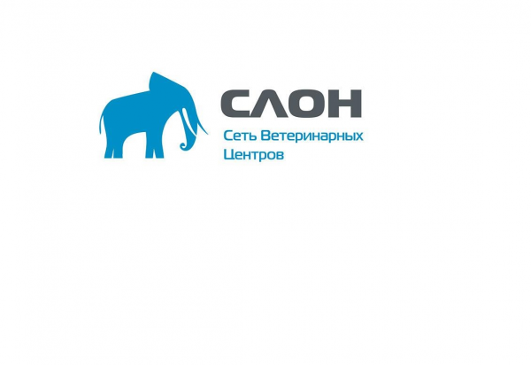 Логотип компании Ветеринарный Центр СЛОН