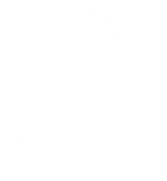 Логотип компании ПИОНЕР