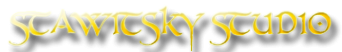 Логотип компании Stawitsky Studio