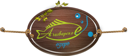 Логотип компании Ачигварское озеро