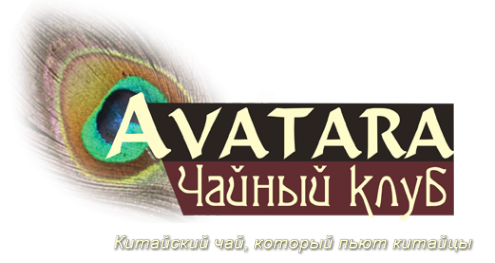 Логотип компании Аватара club