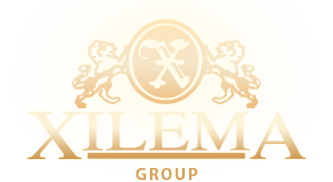 Логотип компании Xilema
