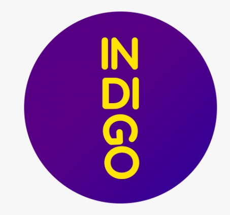 Логотип компании Центр развития личности INDIGO