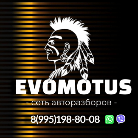 Логотип компании Авторазбор Эвомотус