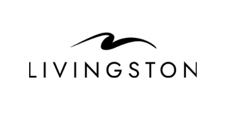 Логотип компании Ливингстон